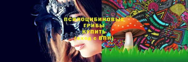 ПСИЛОЦИБИНОВЫЕ ГРИБЫ Беломорск