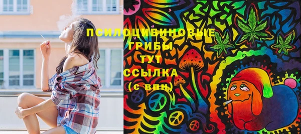 дмт Белокуриха