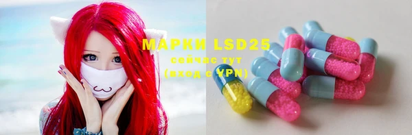 прущие грибы Белоозёрский