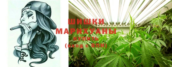 прущие грибы Белоозёрский