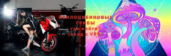 ПСИЛОЦИБИНОВЫЕ ГРИБЫ Беломорск