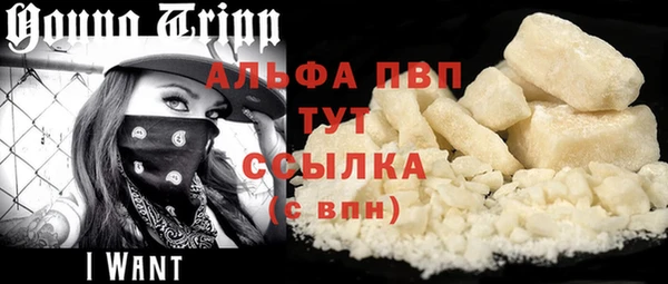 прущие грибы Белоозёрский