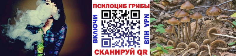 Псилоцибиновые грибы мицелий  цена   Валуйки 